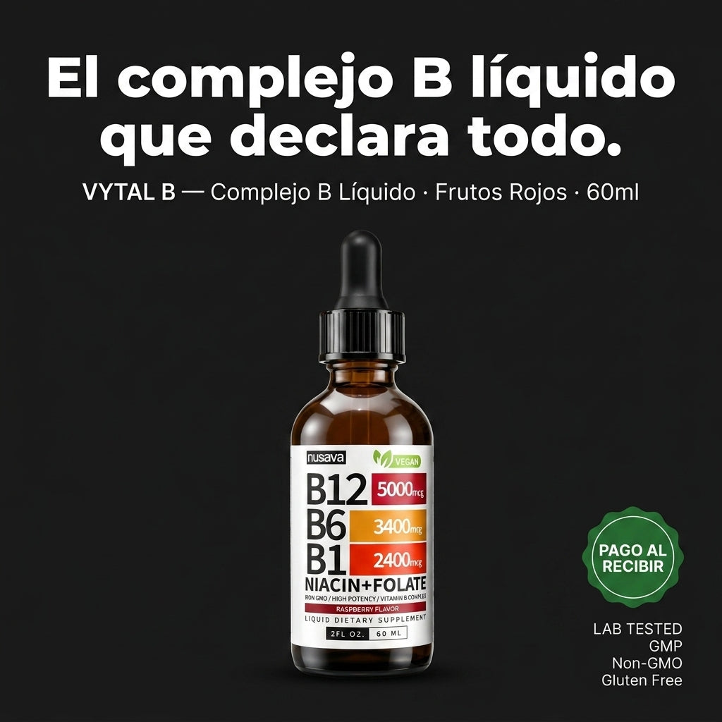 VYTAL B - id1995388 — vista 1